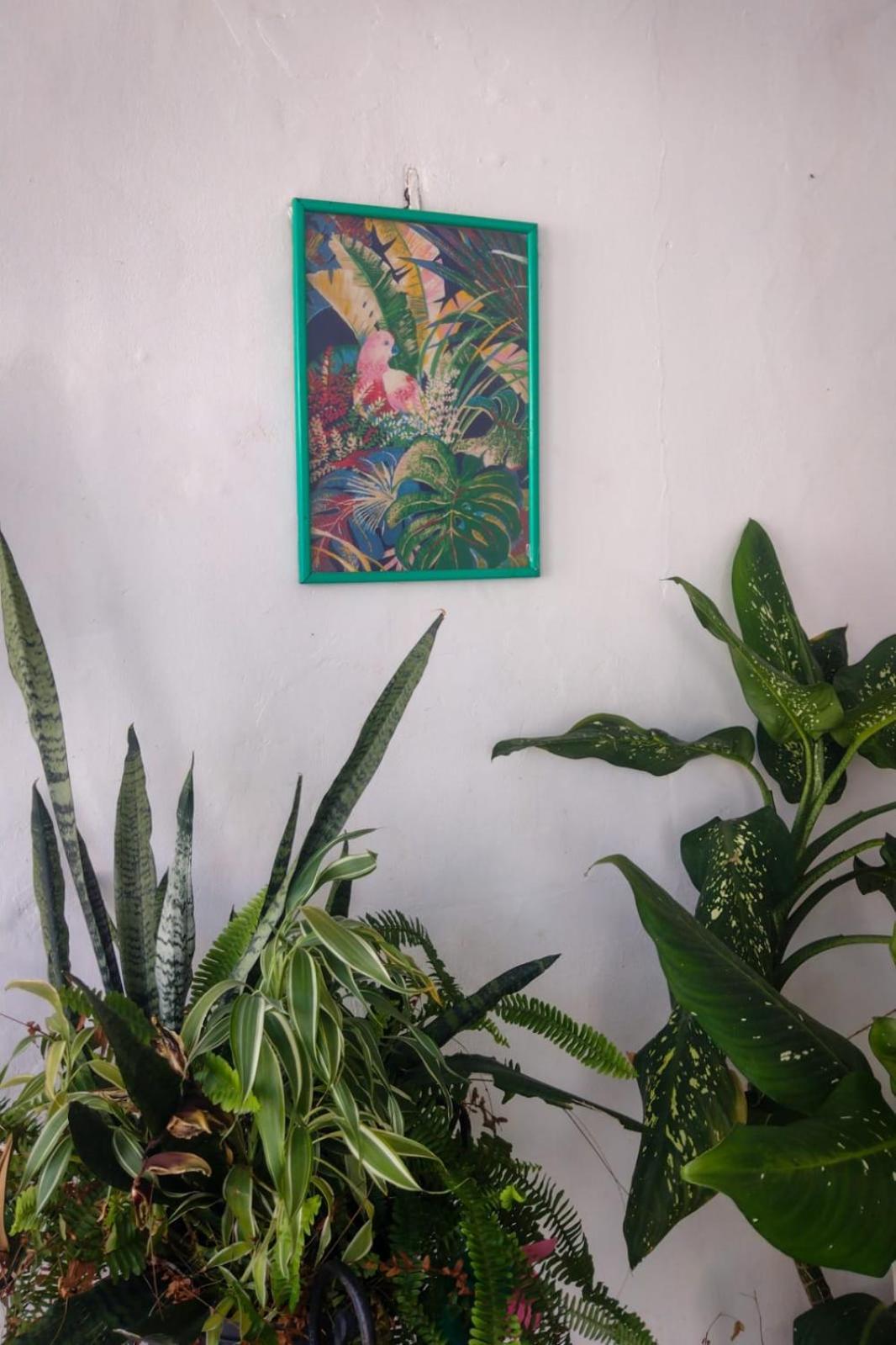 Residence Girassol Belém Dış mekan fotoğraf